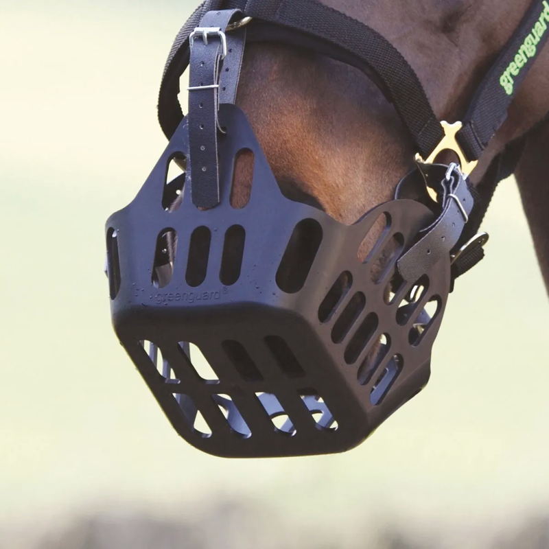 Shires Greenguard Muzzle - Black-2